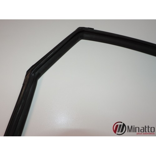 Borracha Vidro Porta Traseira Direita Hyundai Azera 2010/11